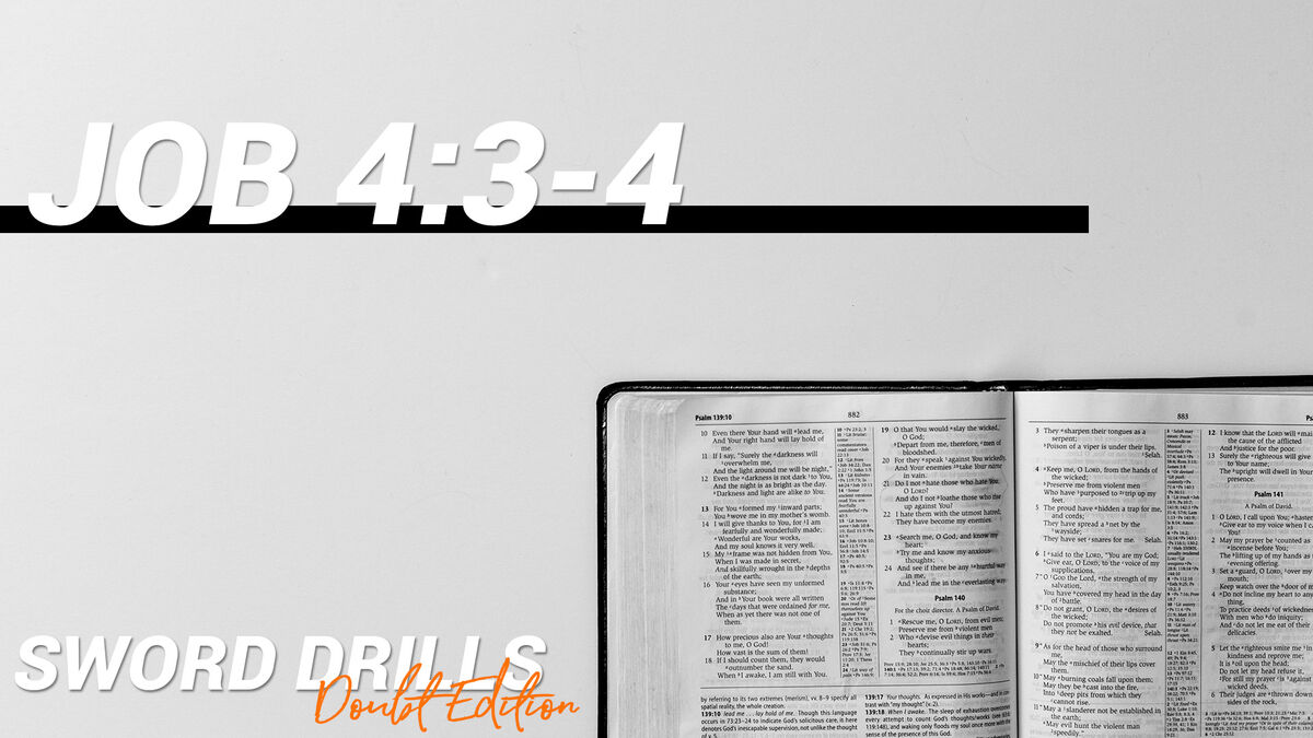 Sword Drills Doubt Edition image number null